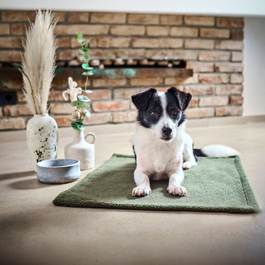LABONI Hundedecke Bouclé "TEDDY"