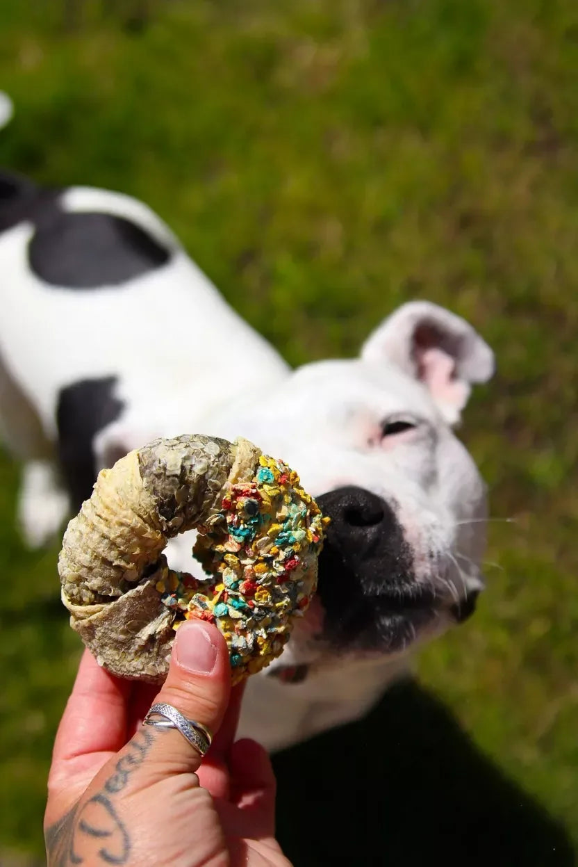 Natürlicher Hundesnack Candy Crush – Belohnung mit Fleisch und Fisch für Hunde