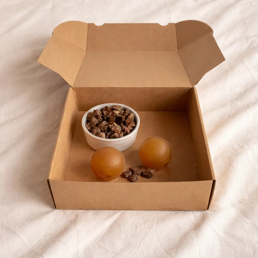 Geöffnete Hundebox mit natürlichem Snack und zwei befüllbaren Bällen