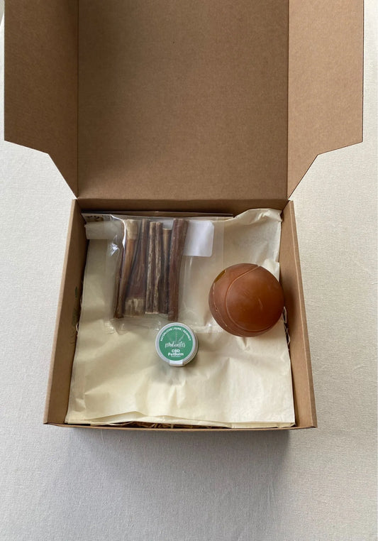 Geschenkbox Classic für Hunde – natürlich & hochwertig