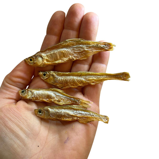 Luftgetrockneter Omena-Fisch als Hundesnack