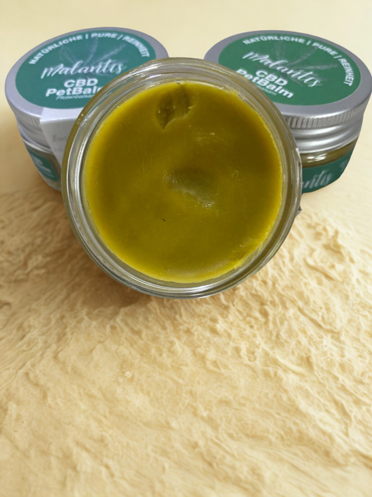 Geöffneter Pfotenbalsam für Hunde und Katzen mit sichtbarer Balsamtextur