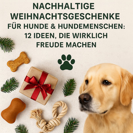 Nachhaltige Weihnachtsgeschenke für Hunde & Hundemenschen