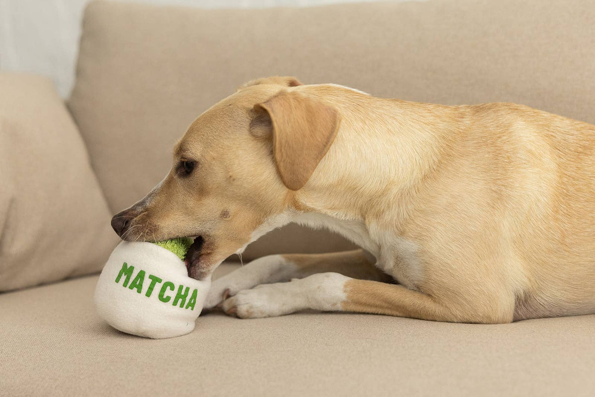 Plüsch-Matcha-Tasse für Hunde handgefertigt