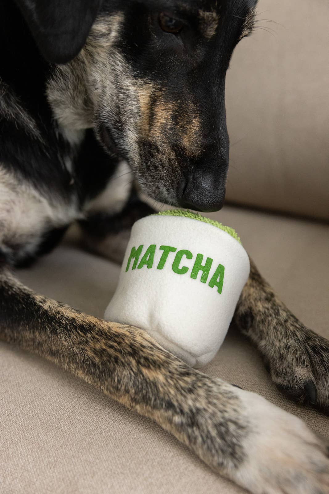 Plüsch-Matcha-Tasse für Hunde handgefertigt