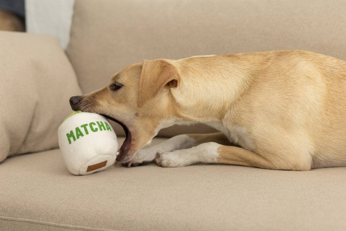 Plüsch-Matcha-Tasse für Hunde handgefertigt