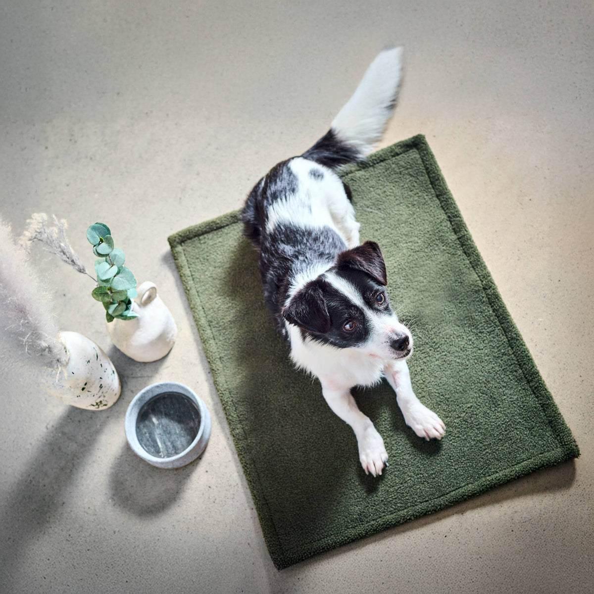 LABONI Hundedecke Bouclé "TEDDY"