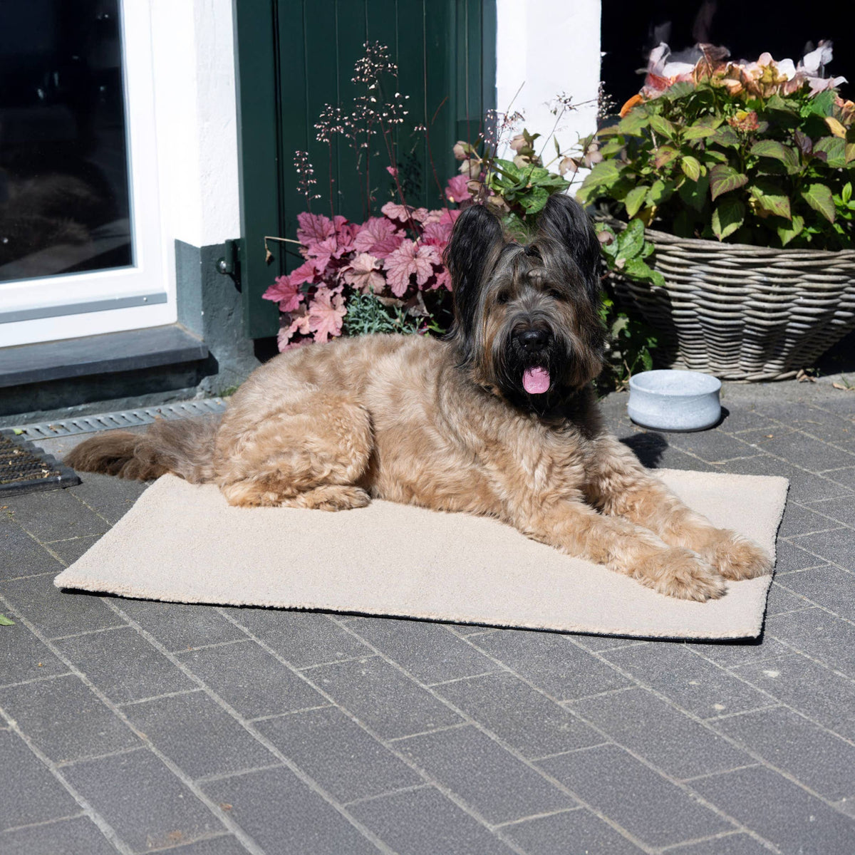 LABONI Hundedecke Bouclé "TEDDY"