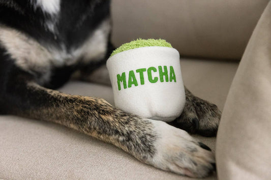 Plüsch-Matcha-Tasse für Hunde handgefertigt