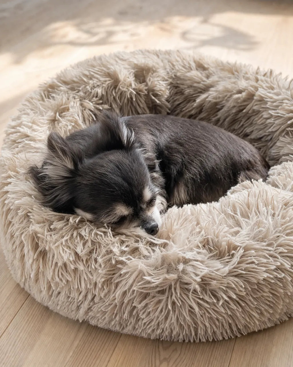 Hund liegt entspannt im Körbchen nach Beschäftigung mit Futterspielzeug